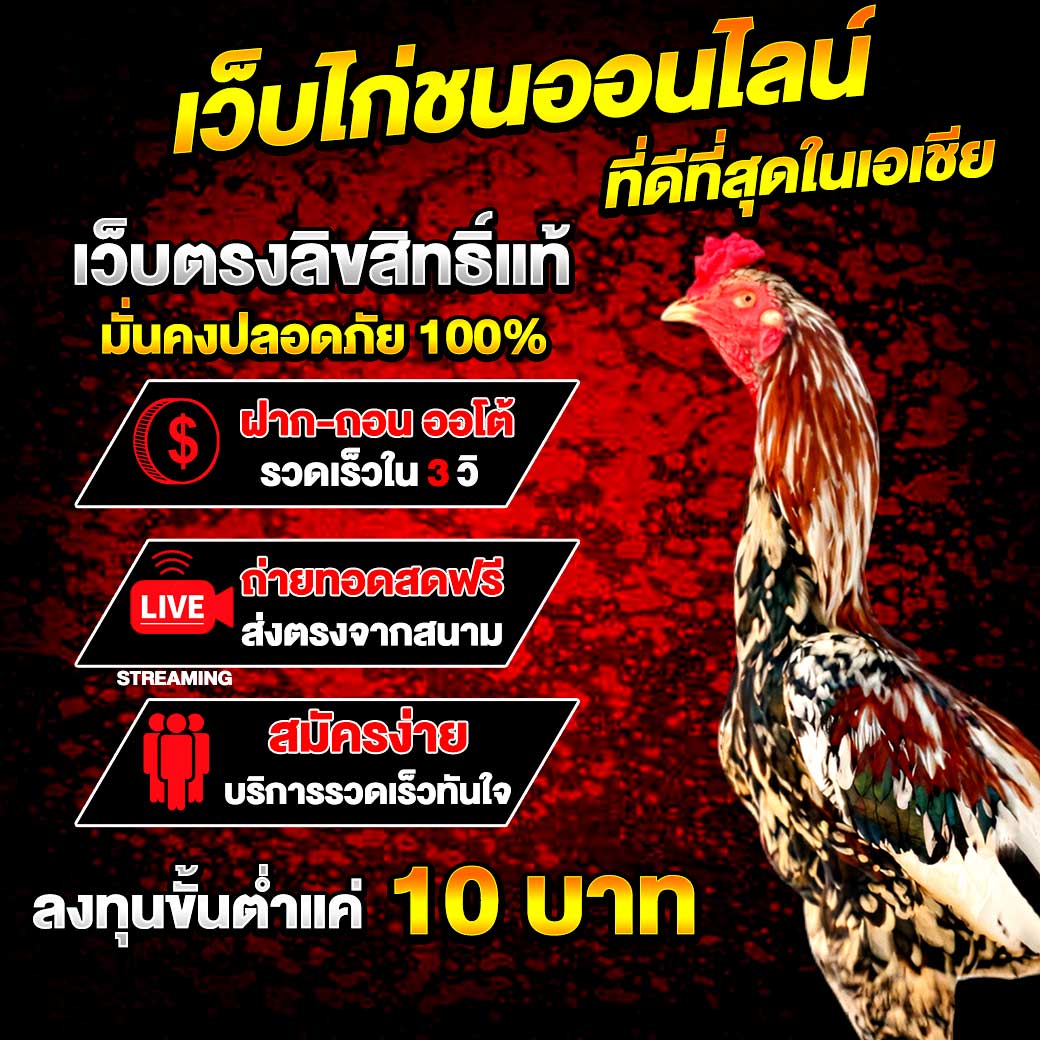 ���꡷���Ҿ