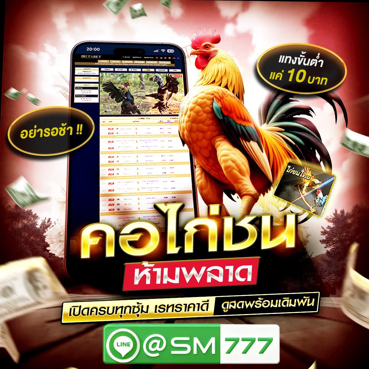 ���꡷���Ҿ