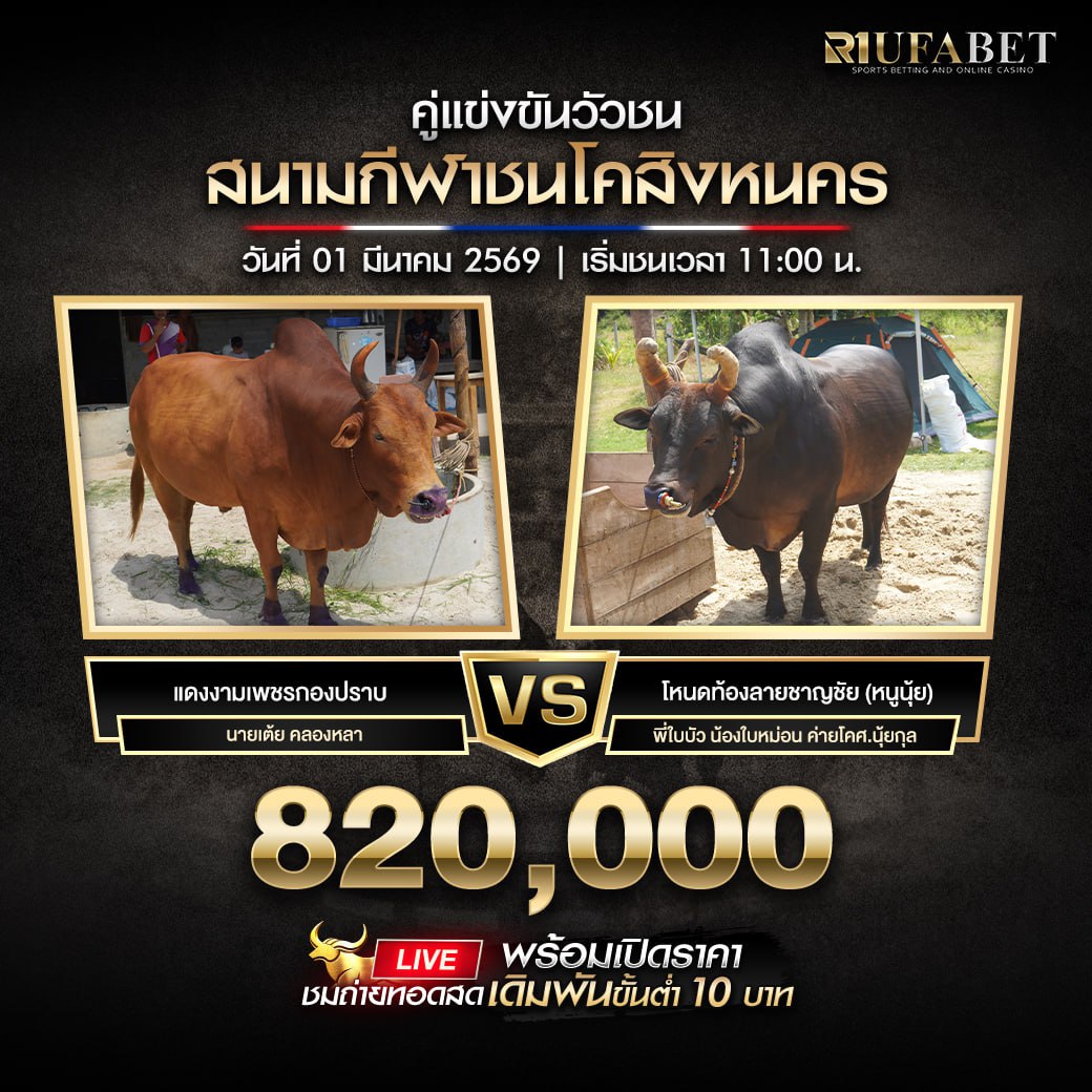 ���꡷���Ҿ