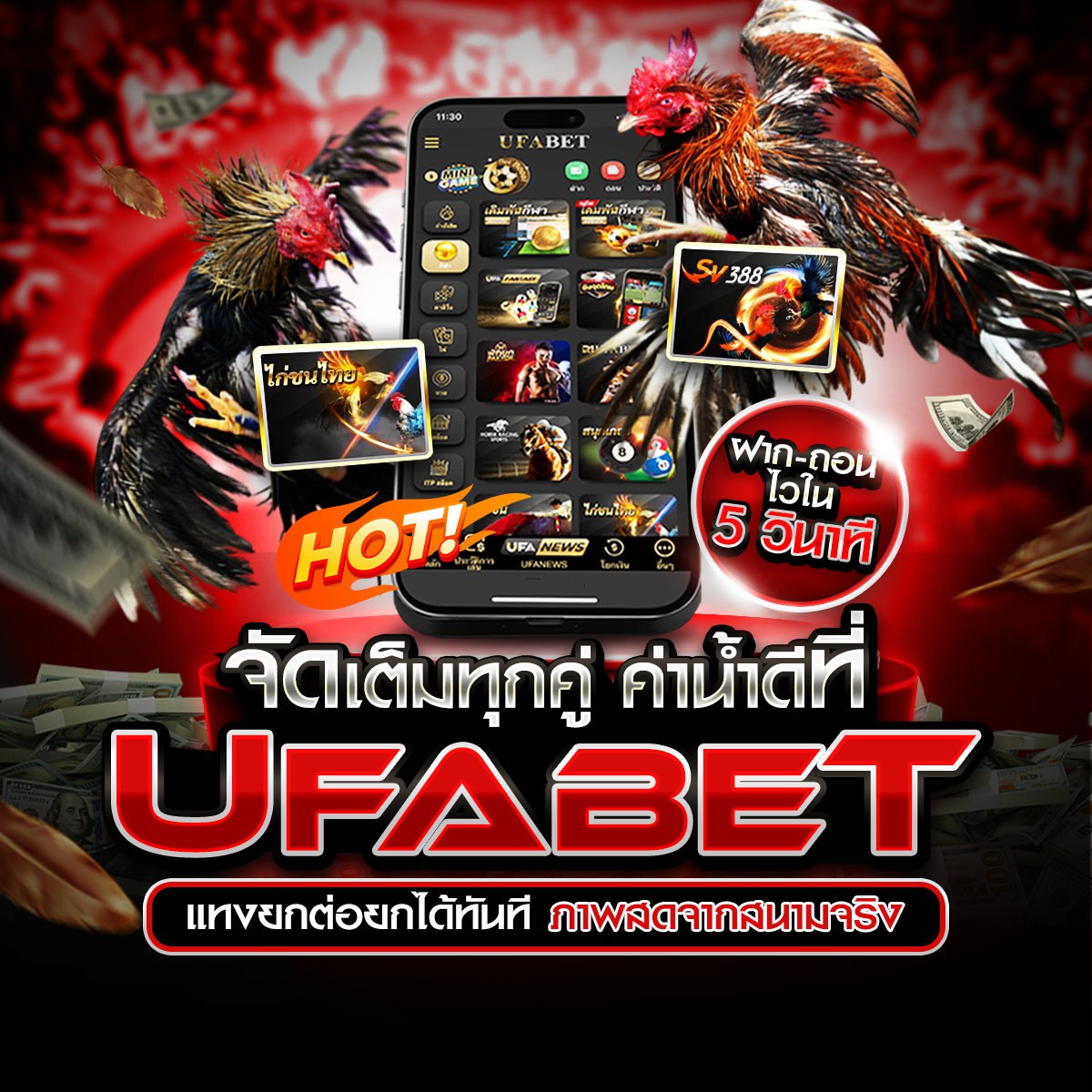 ���꡷���Ҿ