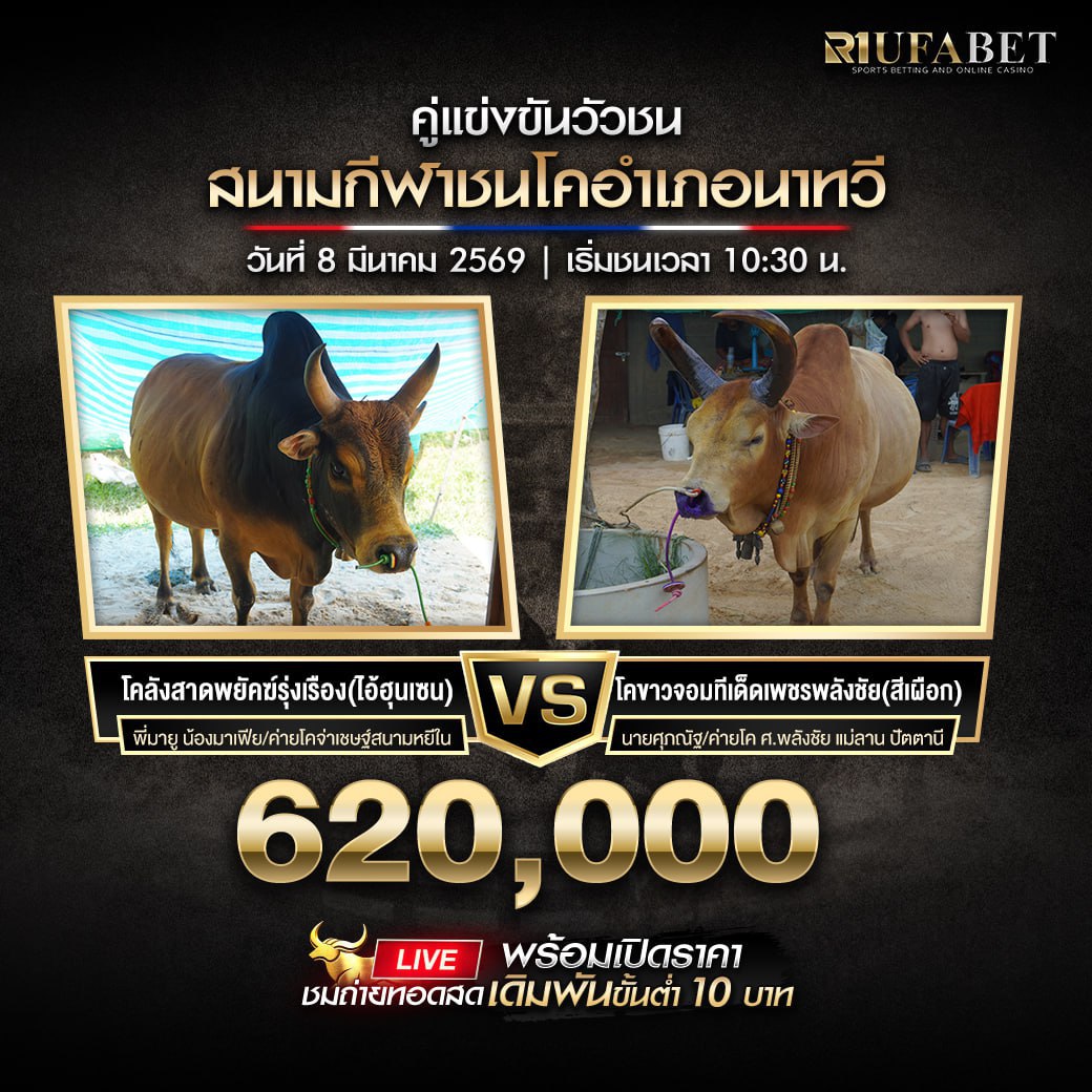 ���꡷���Ҿ