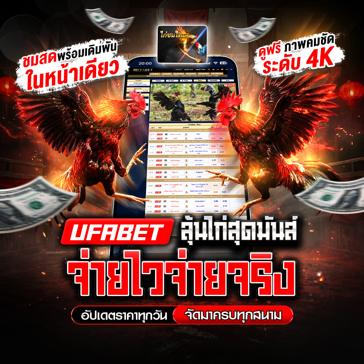 ���꡷���Ҿ