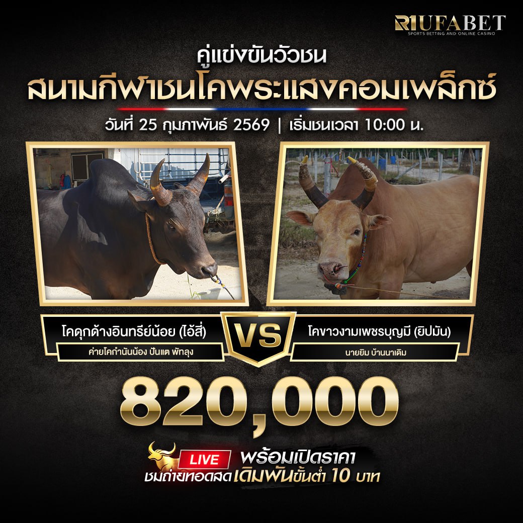 ���꡷���Ҿ