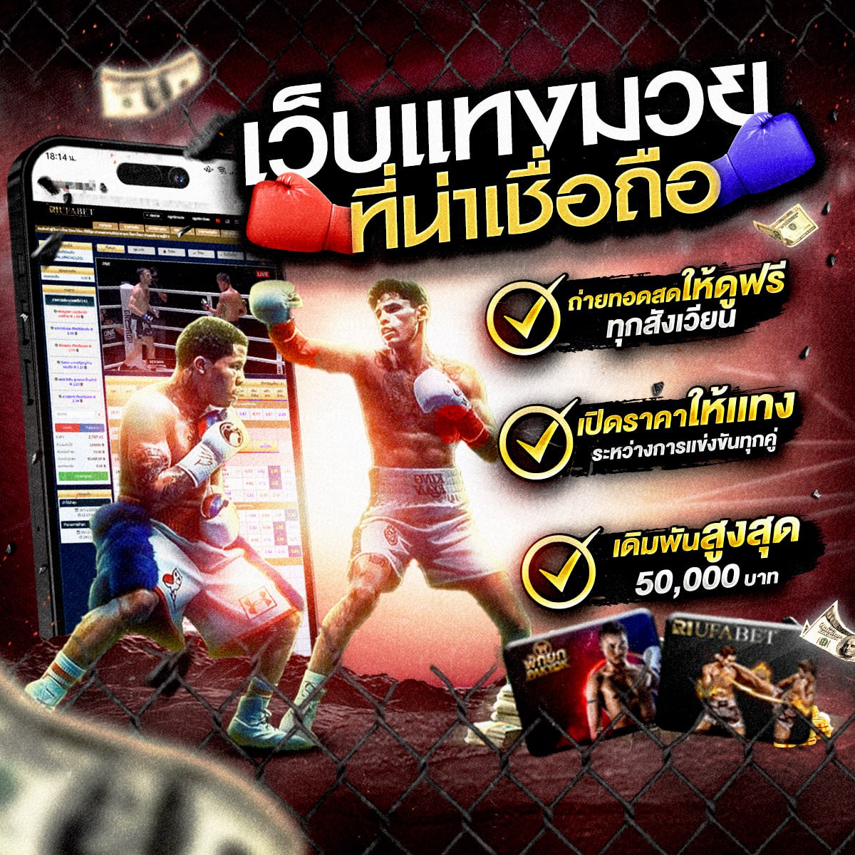 ���꡷���Ҿ