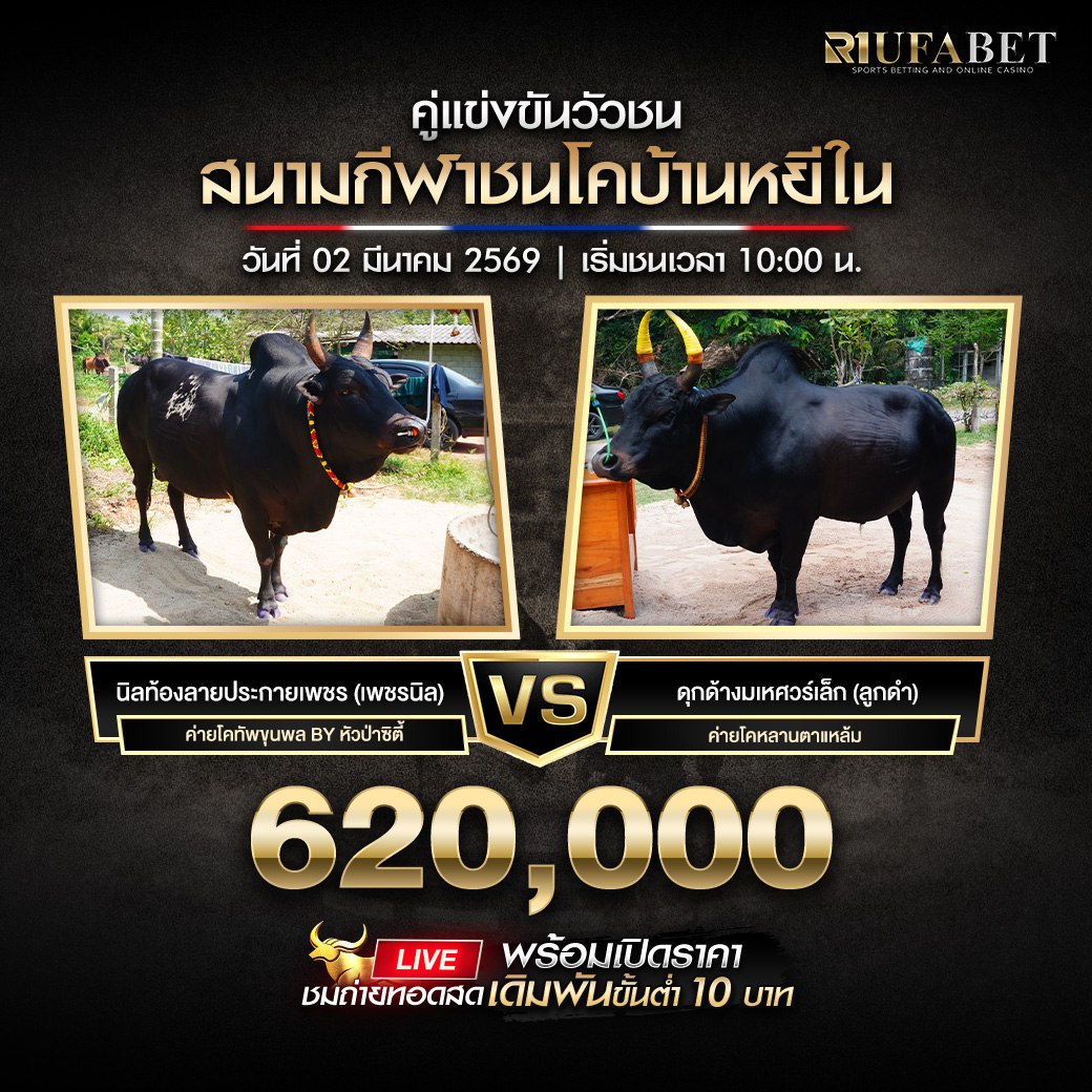 ���꡷���Ҿ