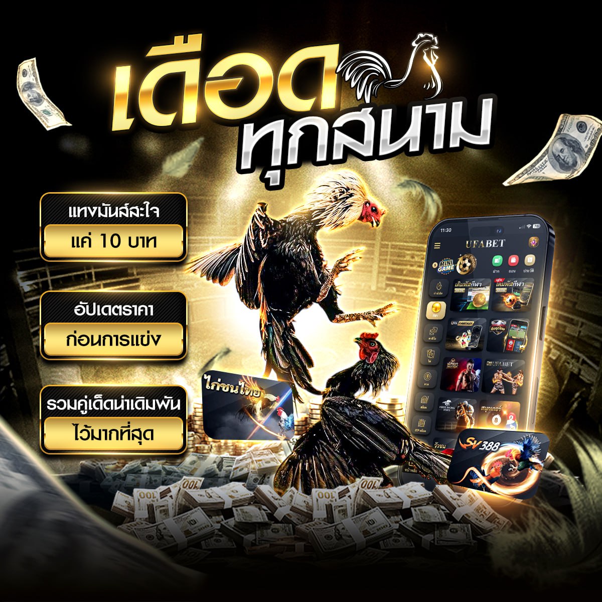 ���꡷���Ҿ